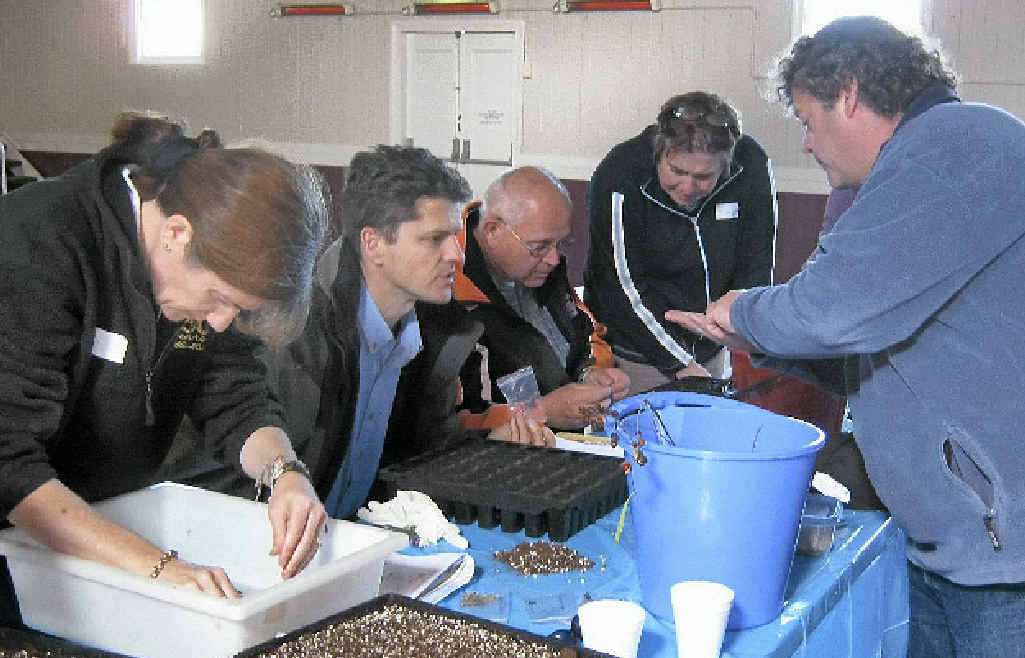 PLANTING THE IDEA: Plant expert Brian Sams explains the propogation process to Lyn and David Bishop and Murray and Cheryl Sondergeld. PLANTING THE IDEA: Plant expert Brian Sams explains the propogation process to Lyn and David Bishop and Murray and Cheryl Sondergeld.